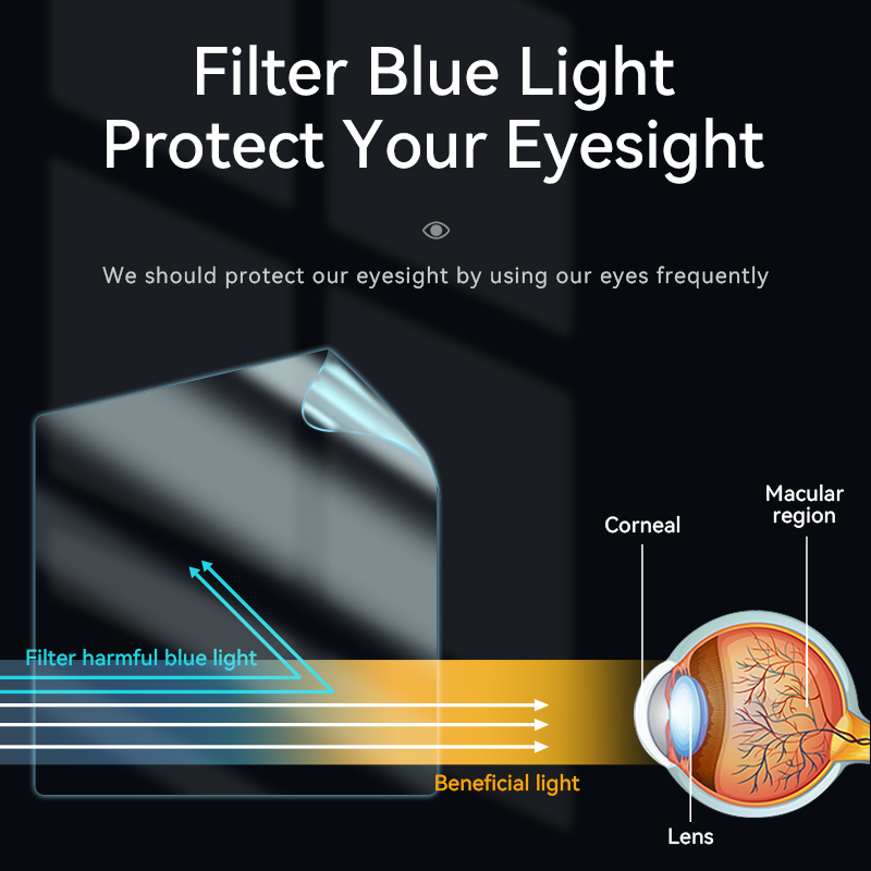 Magnetic Anti Spy Privacy Scre - Monitor Privacy Filter 评论和价格